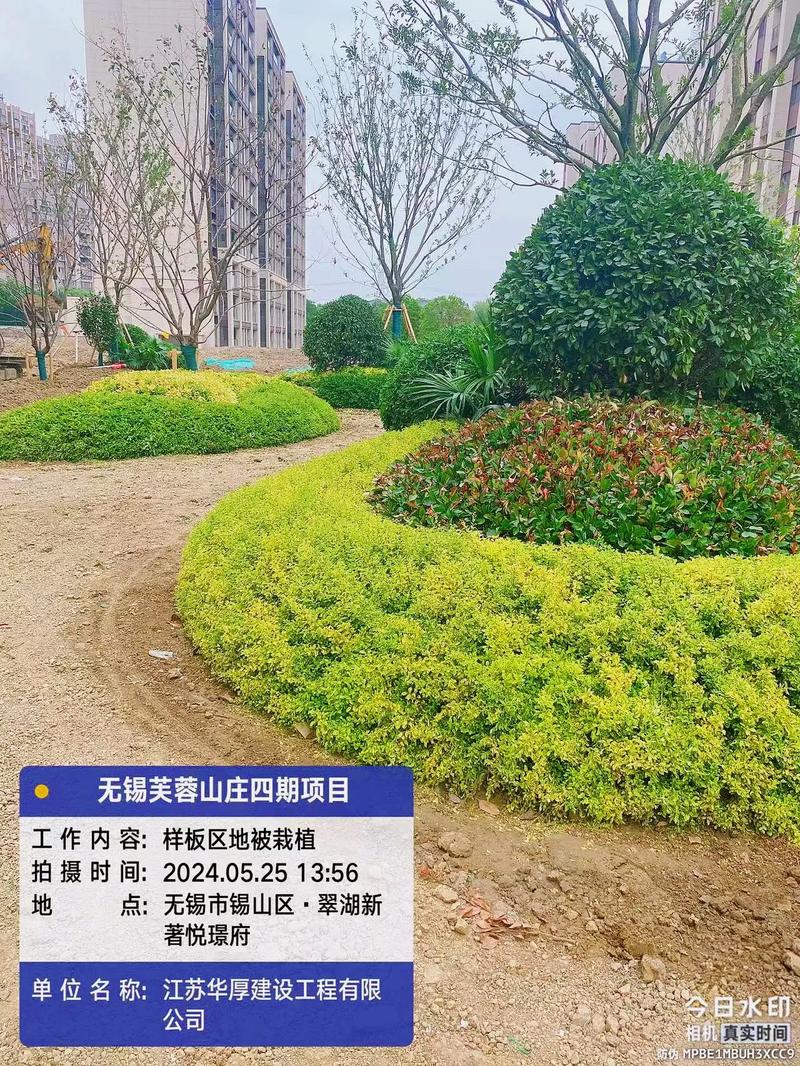 專業的事交給專業的人 園林綠化工程施工的現場真諦