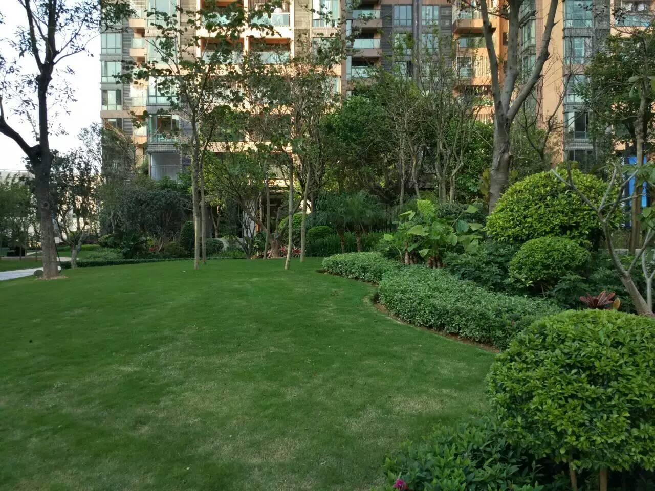 深圳園林工程施工現場管理 園林綠化工程施工的關鍵環節